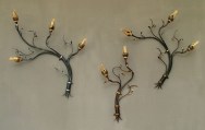 Applique TRALCI